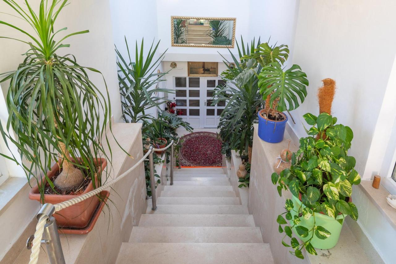 Germania Rooms & Apartments Целина Екстериор снимка